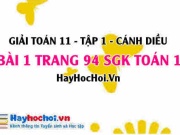 Giải bài 1 trang 94 Toán 11 tập 1 SGK Cánh Diều